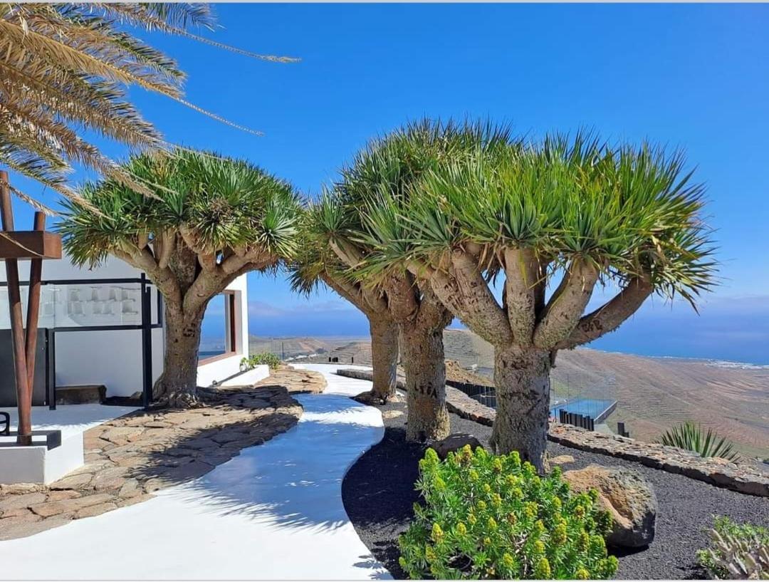 Casa La Tunera, Country House, Haria, Lanzarote Zewnętrze zdjęcie